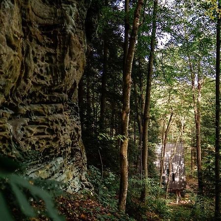 Dunlap Hollow A-Frame Rockbridge 외부 사진