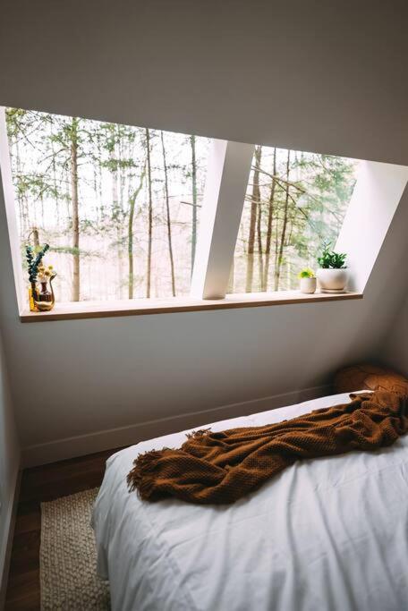 Dunlap Hollow A-Frame Rockbridge 외부 사진