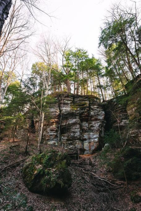 Dunlap Hollow A-Frame Rockbridge 외부 사진