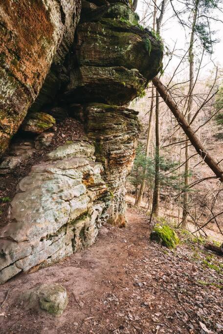 Dunlap Hollow A-Frame Rockbridge 외부 사진