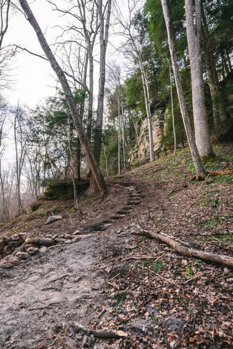 Dunlap Hollow A-Frame Rockbridge 외부 사진