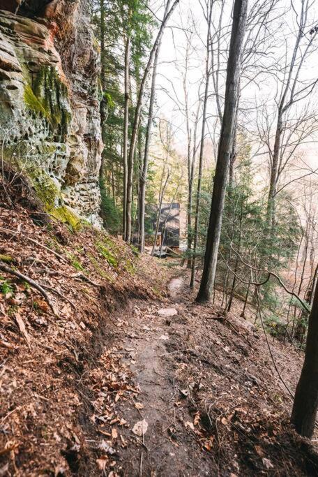 Dunlap Hollow A-Frame Rockbridge 외부 사진