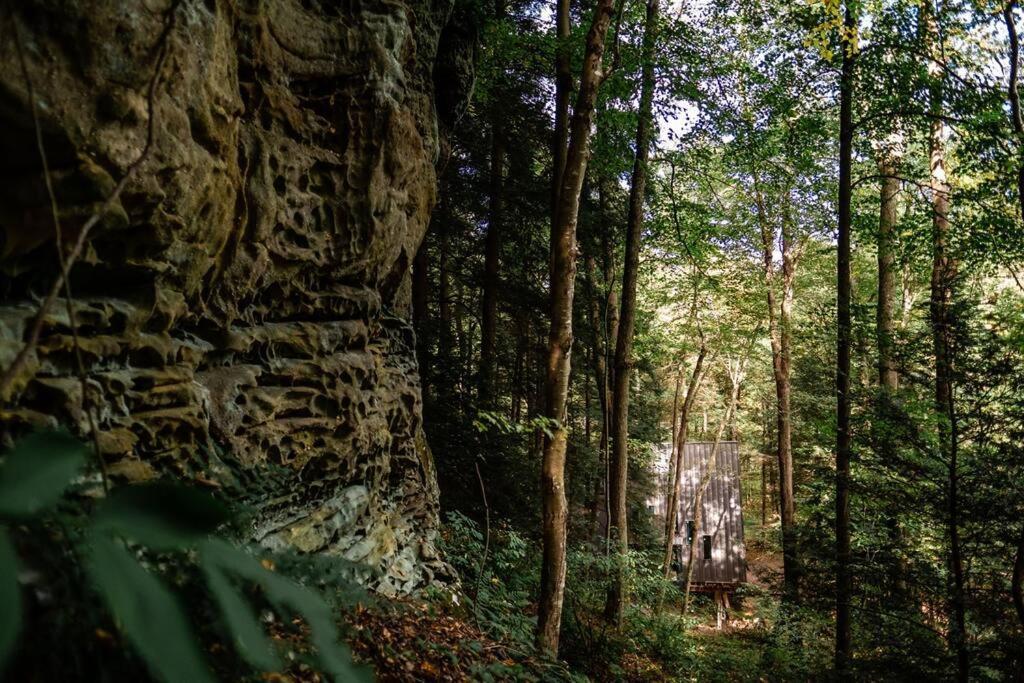 Dunlap Hollow A-Frame Rockbridge 외부 사진