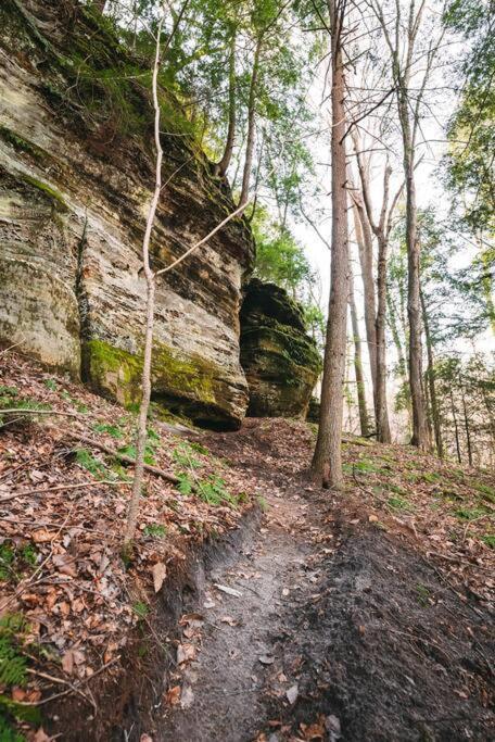 Dunlap Hollow A-Frame Rockbridge 외부 사진