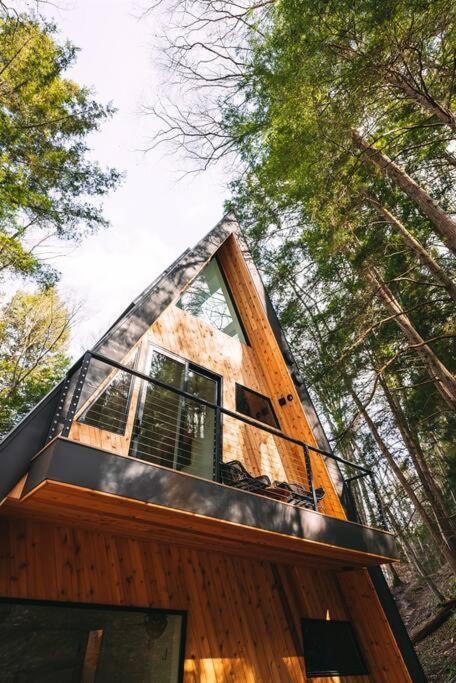 Dunlap Hollow A-Frame Rockbridge 외부 사진