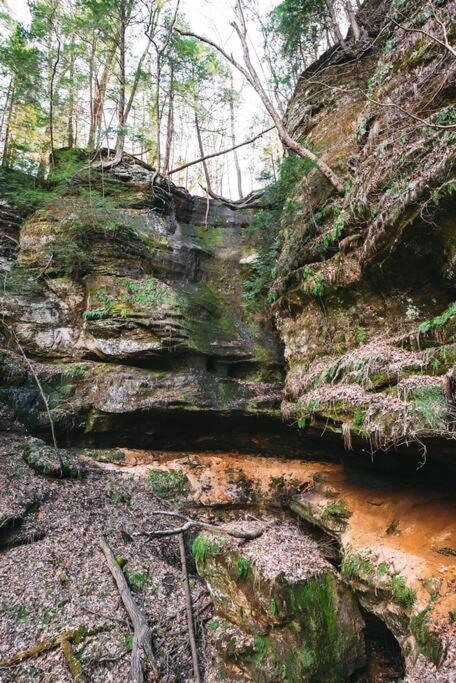 Dunlap Hollow A-Frame Rockbridge 외부 사진