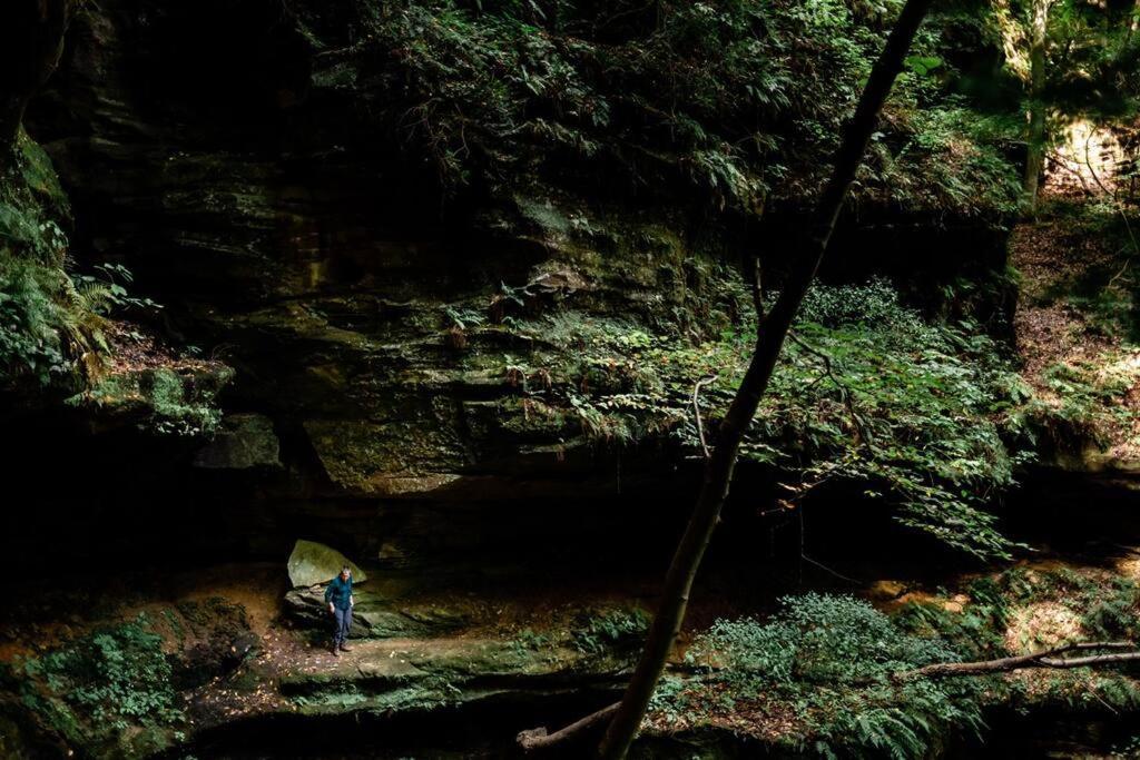 Dunlap Hollow A-Frame Rockbridge 외부 사진