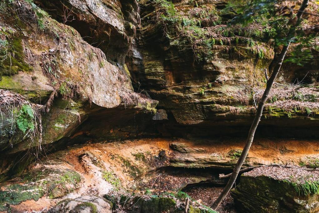 Dunlap Hollow A-Frame Rockbridge 외부 사진